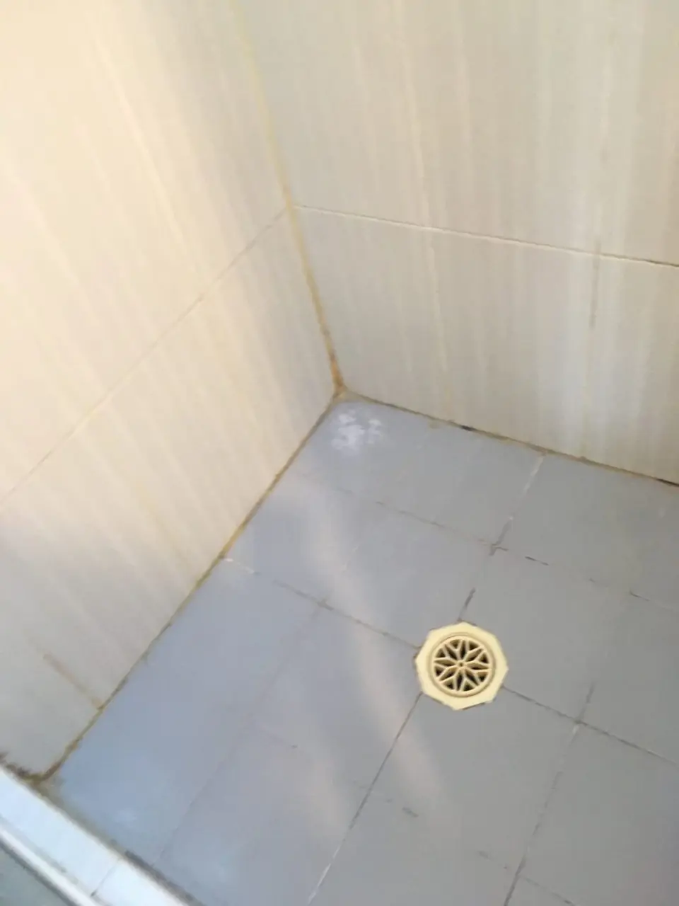 Before: pale blue shower with yellow-stained corner joints.