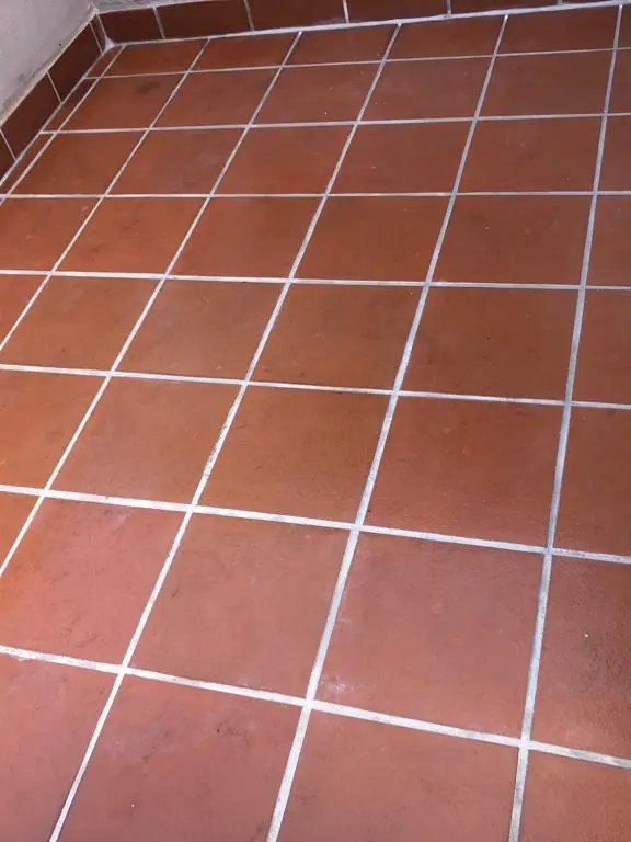 After: clean tiles and new grout.
