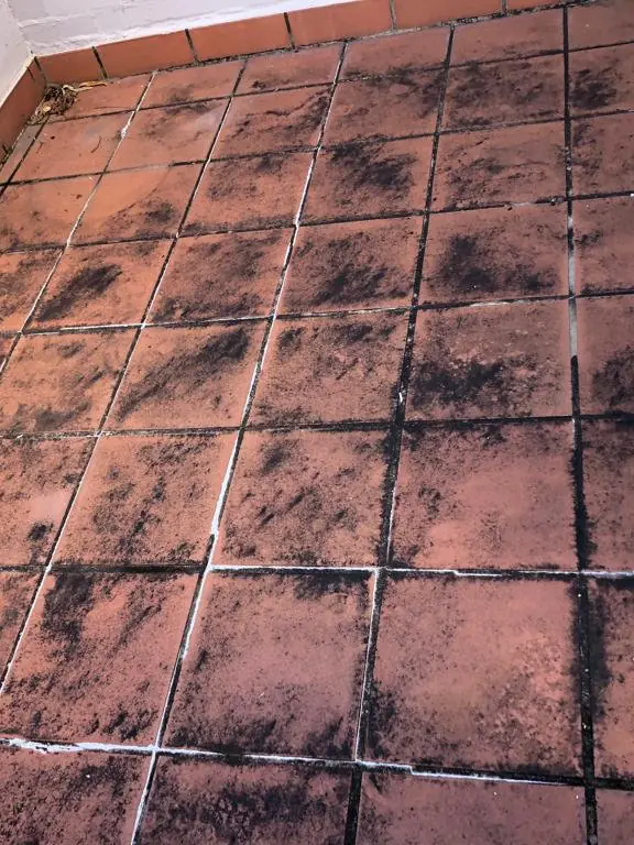 Before: tiled balcony with black mould staining.
