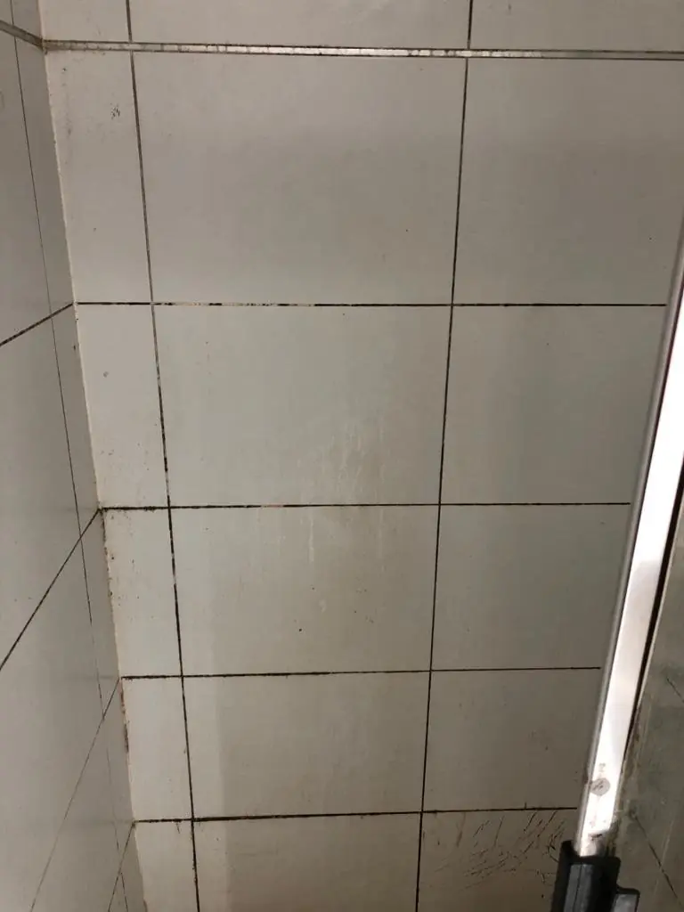 Before: white shower wall with mould-stained joints and corner.