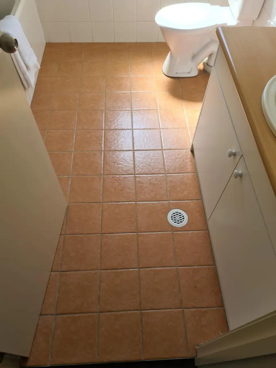 Before: terracotta-look bathroom floor with discoloured grout.