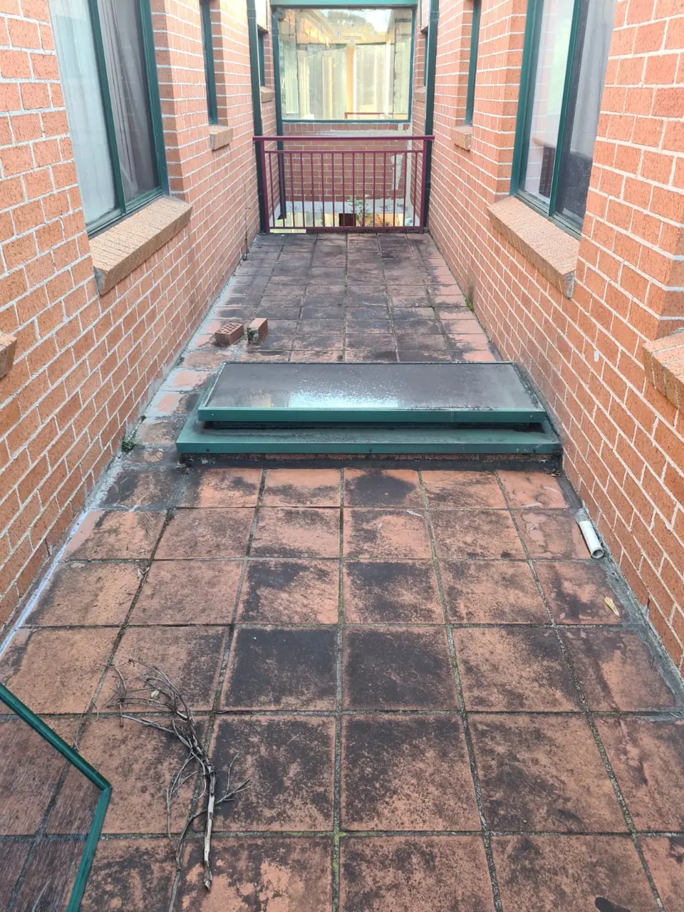 Before: narrow tiled side path with heavy black staining.